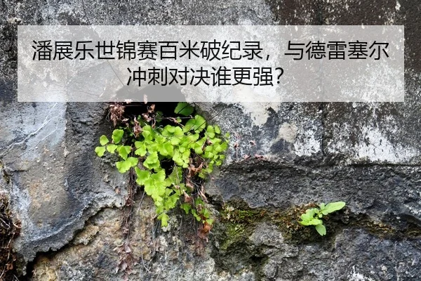 潘展乐世锦赛百米破纪录，与德雷塞尔冲刺对决谁更强？